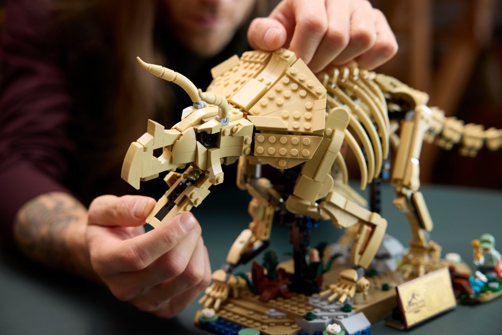 détails LEGO® Jurassic World 77985 Les Fossiles de Dinosaure : le Tricératops