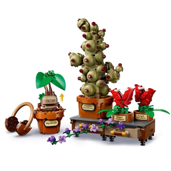 LEGO Harry Potter 76474 Les Plantes du Cours de Botanique de Poudlard