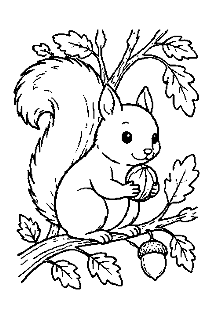 Coloriage d'automne : un écureuil assis sur une branche avec une noisette