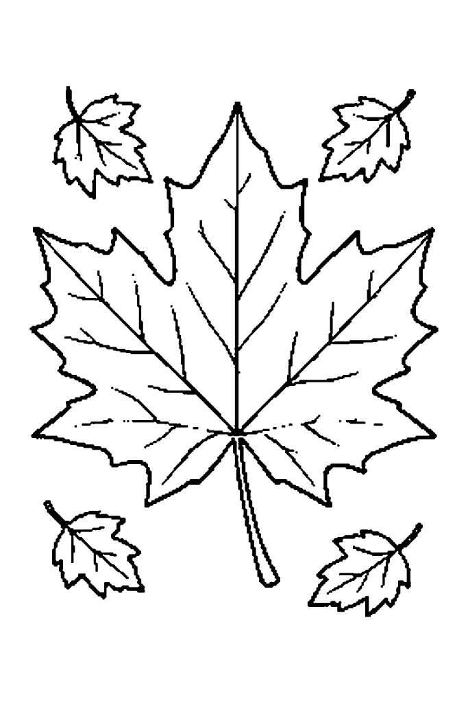 Coloriage d'automne à imprimer : une grande feuille d'érable et ses nervures