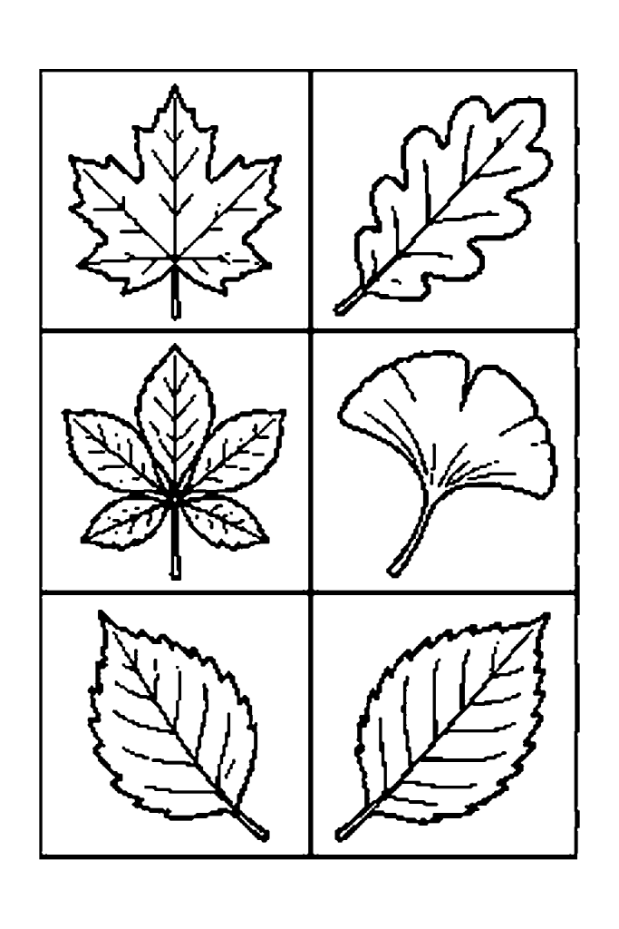 Coloriage d'automne à imprimer : un arbre qui perd ses feuilles et un hérisson
